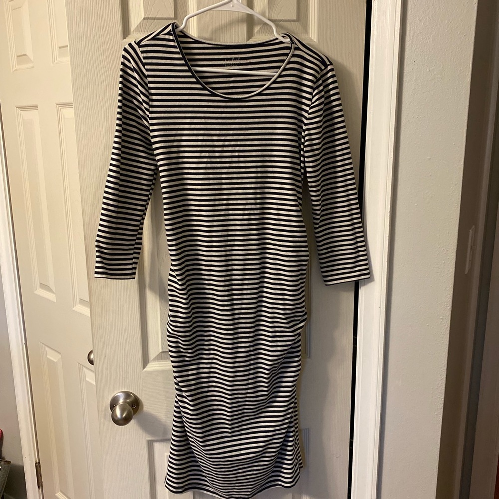 Striped Fitted Isabel Dress
